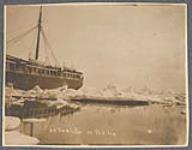 S.S. Umalilla in the ice [between 1889-1942]