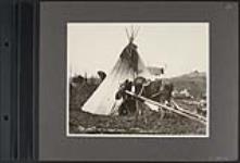[Moose with travois in front of tipi] [ca. 1870-1910]