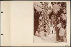 Snow Scene at the Glacier, Selkirks [ca. 1870-1910]