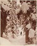 Snow scene at the Glacier, Selkirks [B.C.] [between 1870-1910]