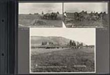 [Photographs related to farming and agriculture] [ca. 1870-1910]