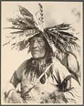 [Portrait of Johnny Bear, Cree warrior]. Original title: A Cree Warrior [between 1870-1910].