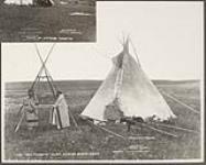[Tsuut'ina camp showing two individuals wearing point blankets, one identified as Minor Chief Big Plume, with teepees and dog travois]. Original title: Big Plume's camp, Sarcee minor chief and Indian dog travois [between 1870-1910]