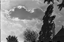 [Tree and clouds] 1954-1956.
