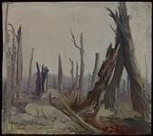 Destroyed Forest on the Somme n.d.