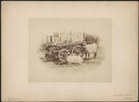Oxen, Basses Pyrenees 1863