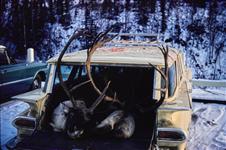 [Caribou hunters at Gilmore Creek, Fort Wainwright, Fairbanks, Alaska] 1953-1969