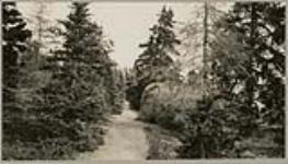 [Trail near Nain, Nunatsiavut (Labrador)] [between 1921-1922]