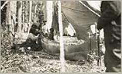 [Anishinaabe family making a birch bark canoe] 1919