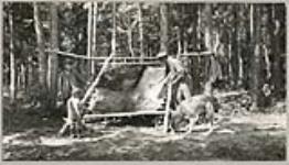 [Anishinaabe man scraping moose hide as two children watch] 1919