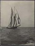 [Norwegian Schooner in the ocean near Labrador]. Original title: Newfoundland fishing schooner, off Labrador coast?. [ca. 1930].