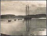 Four dories and a Newfoundland fishing schooner anchored off an outport [ca. 1930].