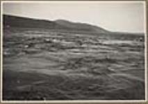 View from metering scow [of the Tidal and Current Survey] showing the swift current. 3 July - 2 September 1923.