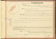 Land grant to Einar Johnson [textual record] January 1911.