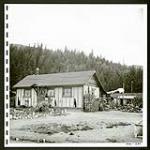Cottages nestle amongst trees beside a mountain lake at Rosebery, B.C., while piles of wood stand ready for winter use [1945/06/16-1945/06/28]
