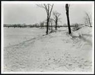 [Snow-covered path with view overlooking the Rideau river and railway bridge] [1927-1932].