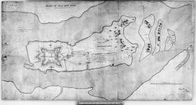 Plan of Isle aux Noix; from a survey by Lieut. Price, R.E. Richd. Price [illeg] Nov. 10th 1863. [cartographic material] 1863