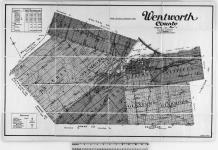 Wentworth County Compiled and Drawn by The Map Company, Toronto. [cartographic material] 1920