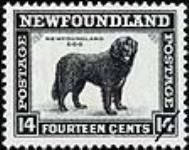 Newfoundland dog [philatelic record]