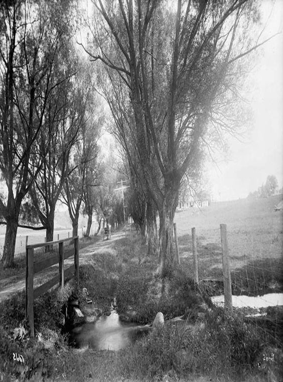 Historic photo from 1912 - Willowdale Avenue - trees and small bridge with building in distance - exact location unknown in Willowdale