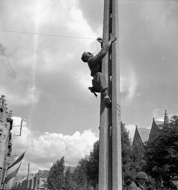 Corporal F.P. Forness of the 14th Field Company, Royal Canadian Engineers (R.C.E.), stringing telephone lines, Nieuport, Belgium, 9 September 1944.