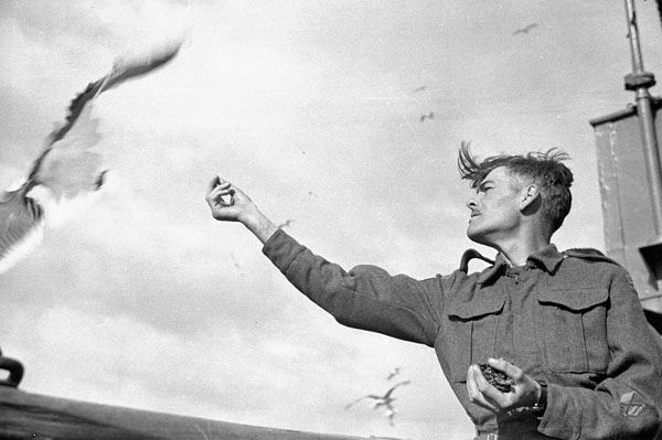 An unidentified Canadian soldier feeding seagulls aboard H.M. Transport EMPRESS OF CANADA, which is returning to Scotland, after taking part in Operation GAUNTLET, ca. 3-7 September 1941.